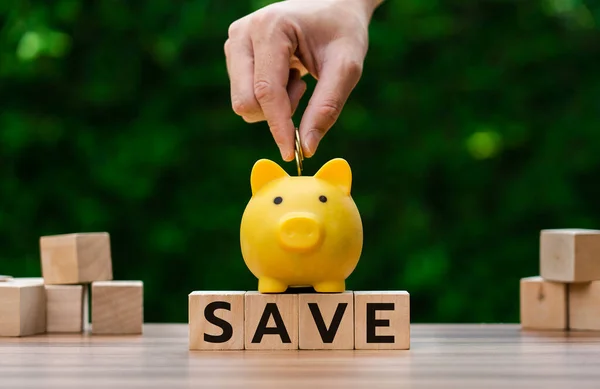 money saving planning concept for future costs and financial goals and wealth building, fixed deposit account, fixed investment mutual funds, saving money for investment, dividend tax, budget