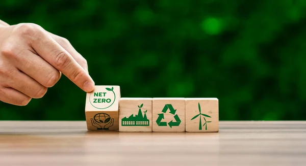 2050 'ye kadar net sıfır. Karbon nötr. Net sıfır sera gazı emisyon hedefi. İklim tarafsız uzun vadeli strateji. Zehirli gaz yok, karbon yakalama ve depolama teknolojileri uygulanıyor.