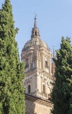 İspanya 'daki Salamanca kategorisinin bir kısmının fotoğraf ayrıntıları.