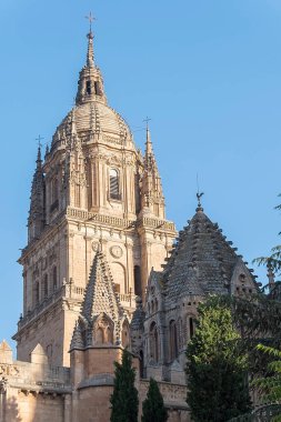 İspanya 'daki Salamanca kategorisinin bir kısmının fotoğraf ayrıntıları.