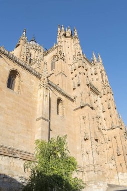 İspanya 'daki Salamanca kategorisinin bir kısmının fotoğraf ayrıntıları.