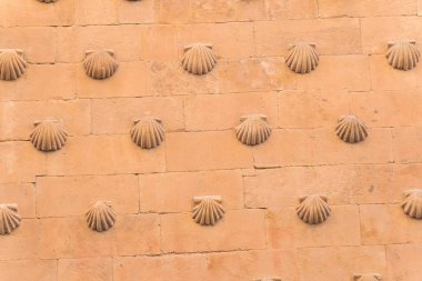 Salamanca 'daki Casa de las Conchas binasının ön cephelerinden biri.).