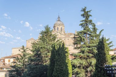 İspanya 'daki Salamanca kategorisinin bir kısmının fotoğraf ayrıntıları.