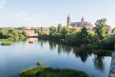 İspanya 'nın Salamanca şehrinin Tormes Nehri ve Katedrali.