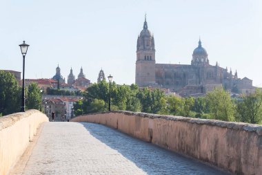 Tormes Nehri üzerinde Roma Köprüsü ve arka planda Salamanca Katedrali (İspanya)).