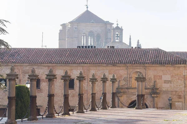 Foto Detail Van Een Deel Van Salamanca Catedral Spanje — Stockfoto
