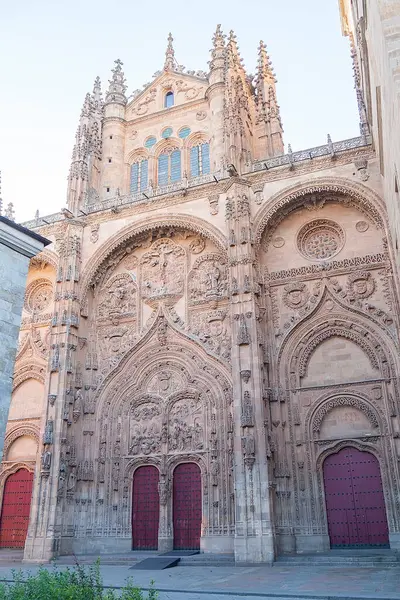 Detalle Foto Parte Catedral Salamanca España —  Fotos de Stock