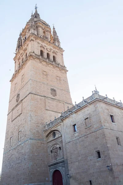 Foto Detail Eines Teils Der Kathedrale Von Salamanca Spanien — Stockfoto