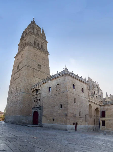 Foto Detail Eines Teils Der Kathedrale Von Salamanca Spanien — Stockfoto