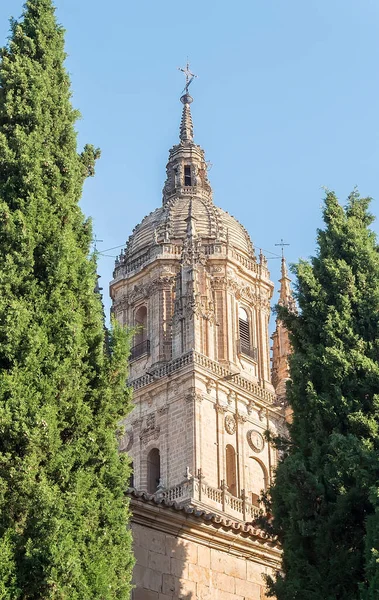 Φωτογραφία Τμήματος Του Catedral Salamanca Στην Ισπανία — Φωτογραφία Αρχείου
