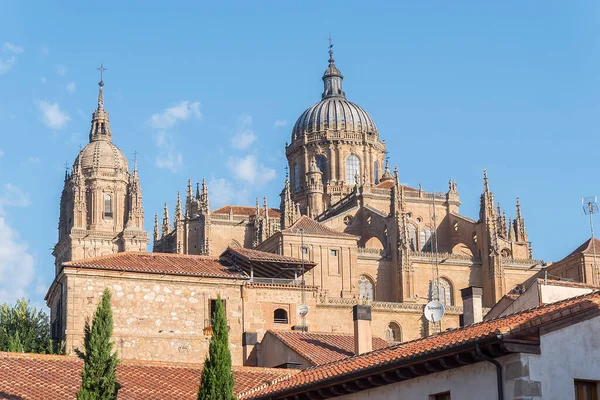 Dettaglio Foto Parte Della Cattedrale Salamanca Spagna — Foto Stock