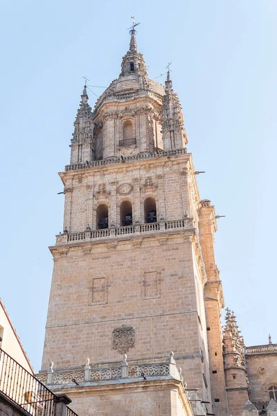 Detail Foto Bagian Dari Katedral Salamanca Spanyol — Stok Foto