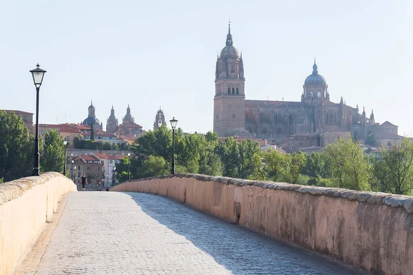 Jembatan Romawi Atas Sungai Tormes Dan Latar Belakang Katedral Salamanca Stok Foto Bebas Royalti