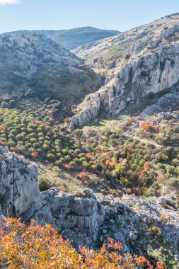 Zuheros, İspanya 'nın Cordoba eyaletinin beyaz köyü..