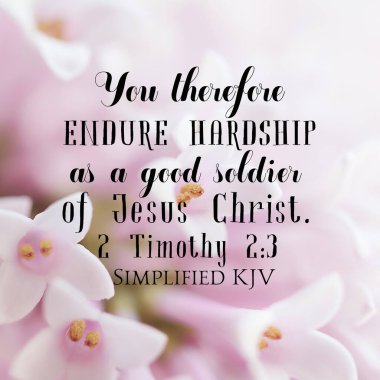 2 Timothy 2: 3 Bu yüzden, İsa 'nın iyi bir askeri olarak zorluklara katlanıyorsun.