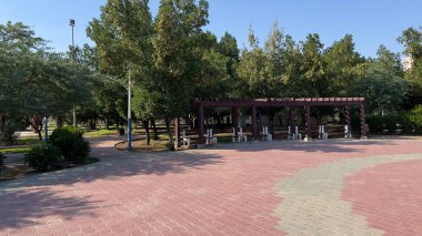 bench in a public park on a lovely summer day
