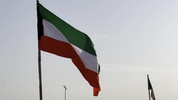在科威特挥动国旗 — 图库视频影像