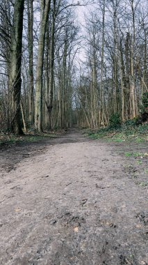 Fransa, Paris 'te ormandaki boş patika