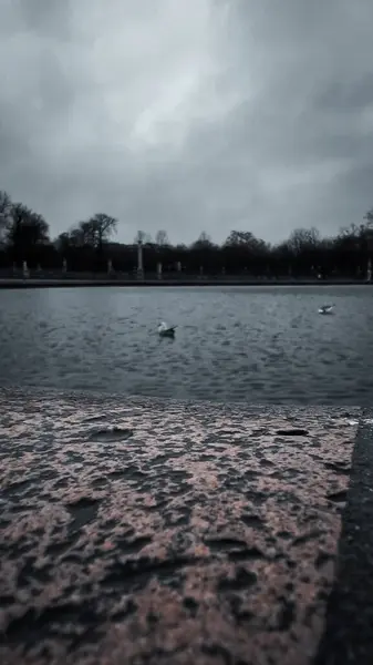 Lüksemburg Bahçesi (Jardin du Lüksemburg) Paris, Fransa
