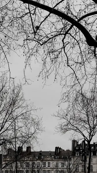 Sabah Paris, Fransa 'da güzel binaların olduğu sokak manzarası.