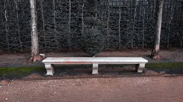 Fransa, Paris 'teki parkta boş bir bank.