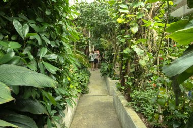 Garzoni Bahçesi, dünyanın dört bir yanından gelen binlerce kelebeğin doğumu ve büyümesi için ideal bir ortam olan kristal bir bahçe olan Kelebek Kelebeği Evi 'nin varlığı ile zenginleştirildi. İşte ama...