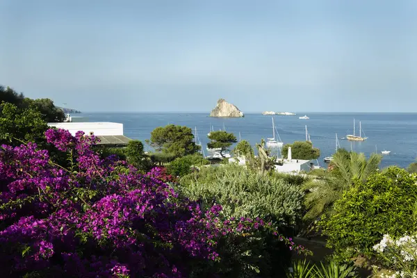 Panarea kıyıları Sicilya, İtalya 'da tekneler ve canlı çiçeklerle dolu.