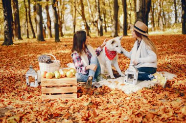 Parktaki güzel kızlar. Şık giyinmiş hoş bayanlar. Tatlı köpekli arkadaşlar.