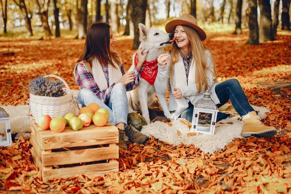 Красиві Дівчата Парку Милі Леді Стильному Одязі Друзі Милою Собакою — стокове фото