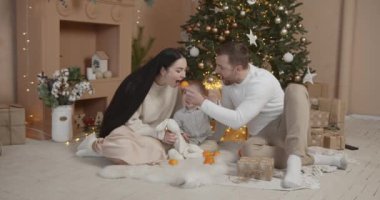 Mutlu aile babası ve bebeği evdeki Noel ağacında. Noel Ailesi. Mutluluk. Baba, anne ve oğul portresi.