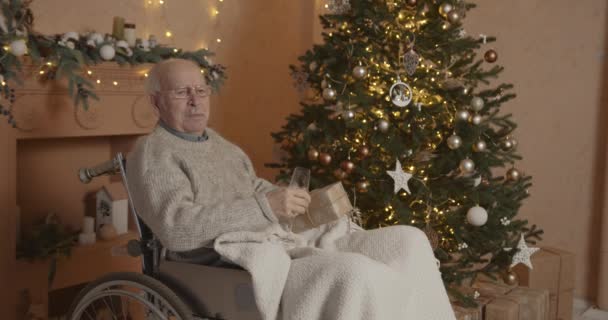 Családi Kapcsolat Karácsonyi Koncepció Öreg Ember Tolószékben Minőségi Időt Tölt — Stock videók