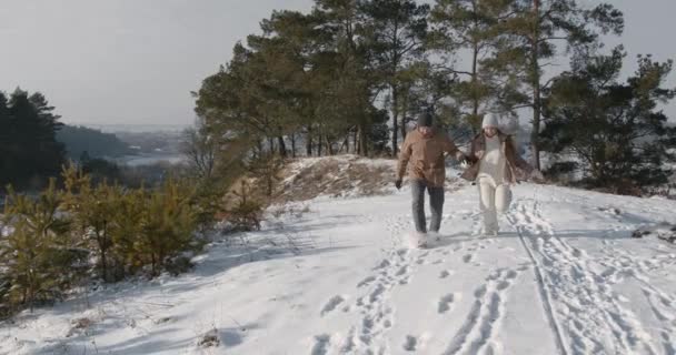 Sonniges Tageslicht Winterwiese Junge Leute Verabreden Sich Freien Sie Spazieren — Stockvideo