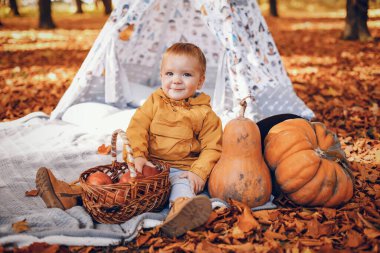 Sonbahar parkında küçük şirin bir çocuk. Yeşillikte oturan bir çocuk. Sepetli çocuk..