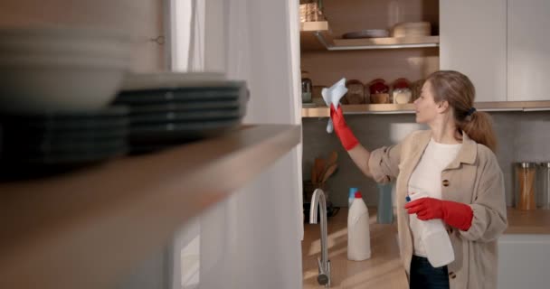 Güzel Yetişkin Bir Kadın Mutfağı Bez Spreyle Temizliyor Işleri Konsepti — Stok video
