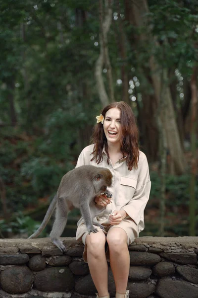 휴가중인 인도네시아 원숭이 숲에서 원숭이 랑노는 — 스톡 사진