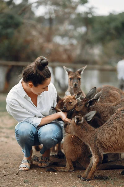 Avustralya Daki Rezerv Bölgesinde Kanguru Besleyen Oynayan Bir Kadın — Stok fotoğraf