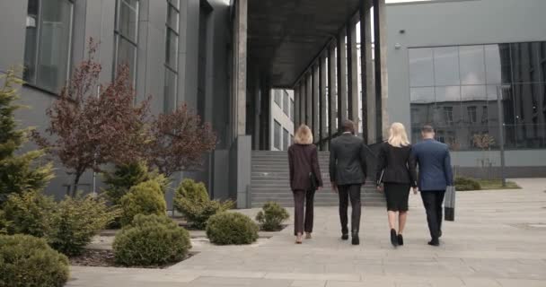Des Gens Affaires Marchent Sur Trottoir Devant Immeuble Bureaux Équipe — Video