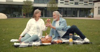 Modern binanın yakınındaki Meadow 'da piknikte hoş, olgun bir çift. Aktif emeklilik yaşam tarzı, kıdemli ilişki ve birlikte zaman geçirme kavramı.