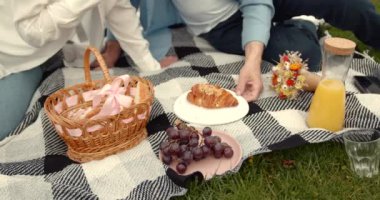 Modern binanın yakınındaki Meadow 'da piknikte hoş, olgun bir çift. Aktif emeklilik yaşam tarzı, kıdemli ilişki ve birlikte zaman geçirme kavramı.