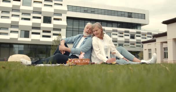 Schönes Reifes Paar Beim Picknick Auf Einer Wiese Der Nähe — Stockvideo
