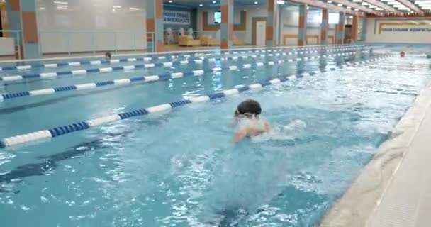 Deportes Aficiones Concepto Estilo Vida Saludable Joven Coreano Nadando Una — Vídeos de Stock