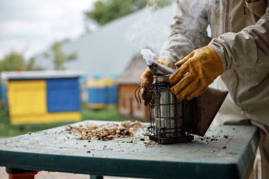 Apiarist in his apiary setting a fire in a bee smoker. Beekeeper harvesting honey. Bee smoker is used to calm bees before frame removal.