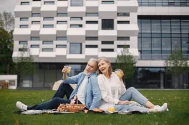 Yazın parkta çimlerin üzerinde oturan güzel beyaz yaşlı bir çift. Kadın ve erkek parkta battaniyeye oturmuş meyve suyu içiyor ve birkaç değerli anı paylaşıyorlar. Beyaz gömlekli kadın.