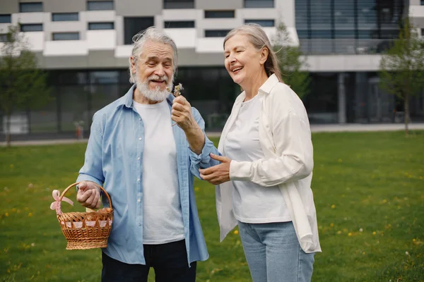 Caucasian elderly couple standing on a grass in summer. Man holding straw basket and they together blow the dandelion. Woman wearing white shirt and man blue one.
