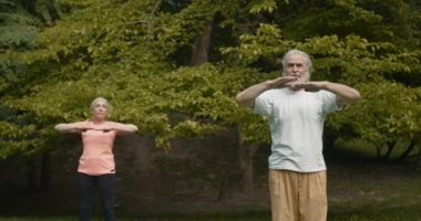 Üst düzey çift açık havada spor yapıyor. Parkta gündoğumu sırasında germe. Birlikte yoga yapıyor. Sağlıklı yaşam konsepti.