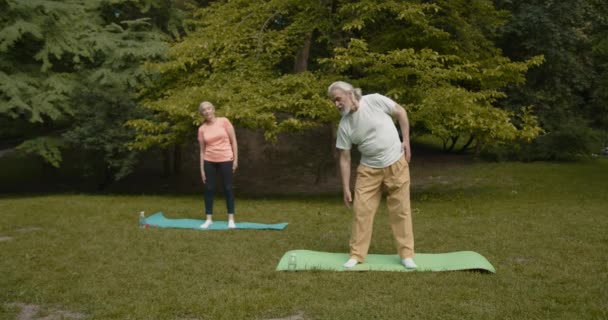 Senior Para Robi Sport Świeżym Powietrzu Rozciąganie Parku Podczas Sunrise — Wideo stockowe