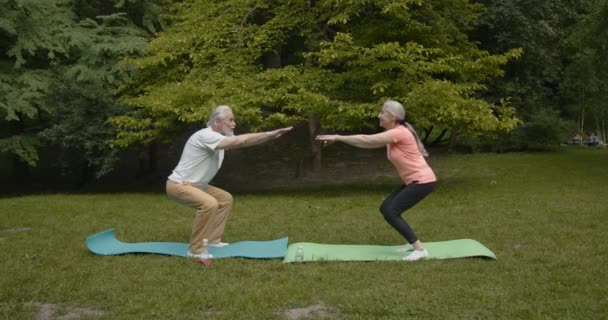 Senior Para Robi Sport Świeżym Powietrzu Rozciąganie Parku Podczas Sunrise — Wideo stockowe