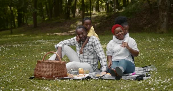 Happy Black Family Resting Having Fun Picnic Park Enjoying Sitting — 비디오