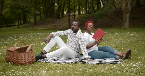 Zakochana Para Relaksuje Się Trawniku Podczas Pikniku Czarne Małżeństwo Czyta — Wideo stockowe