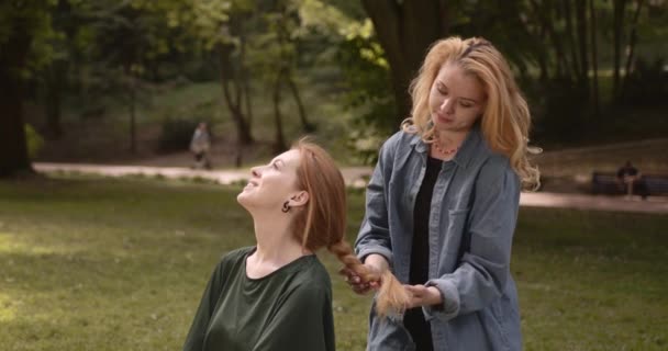 Ein Paar Attraktive Mädchen Kommunizieren Miteinander Bei Einem Picknick Sommer — Stockvideo